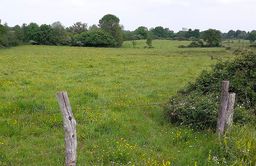 Paysage de bocage au Pin, Loire-Atlantique, France