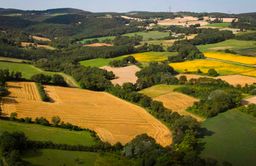Vue aérienne de champs cultivés