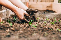 Mains qui font des semis