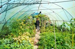 Femme dans une serre