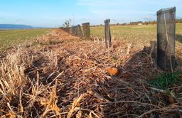 Champ avec du paillage