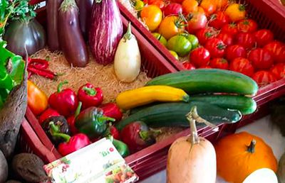 Paniers de légumes