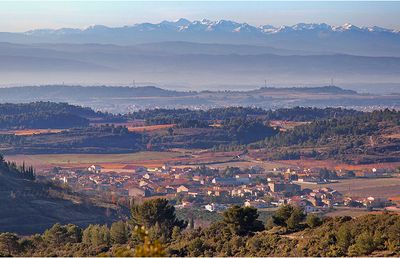 Panorama feline minervois