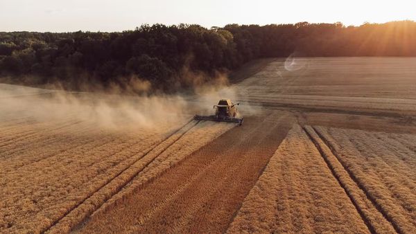 Moissonneuse dans un champ
