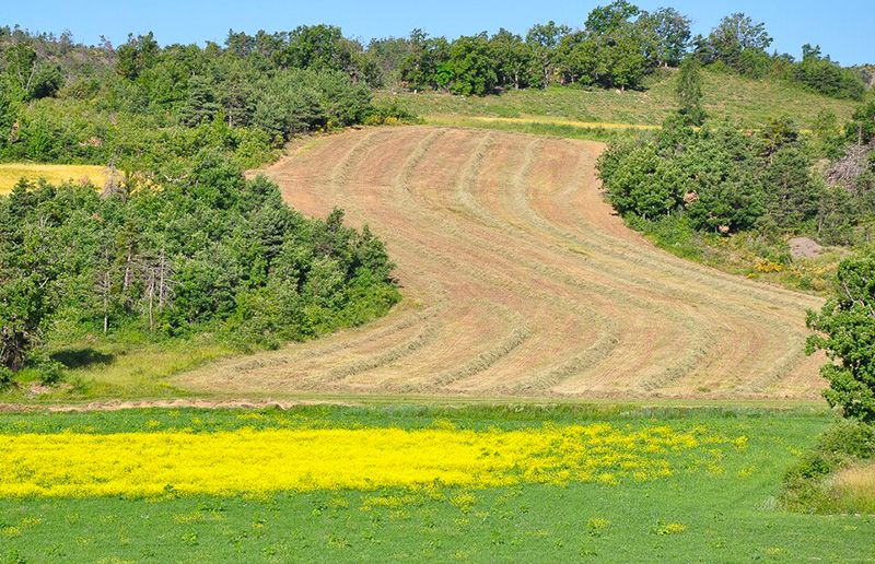  Agriculture à Claret