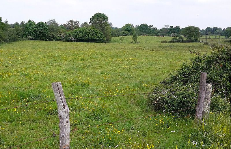Paysage de bocage au Pin, Loire-Atlantique, France