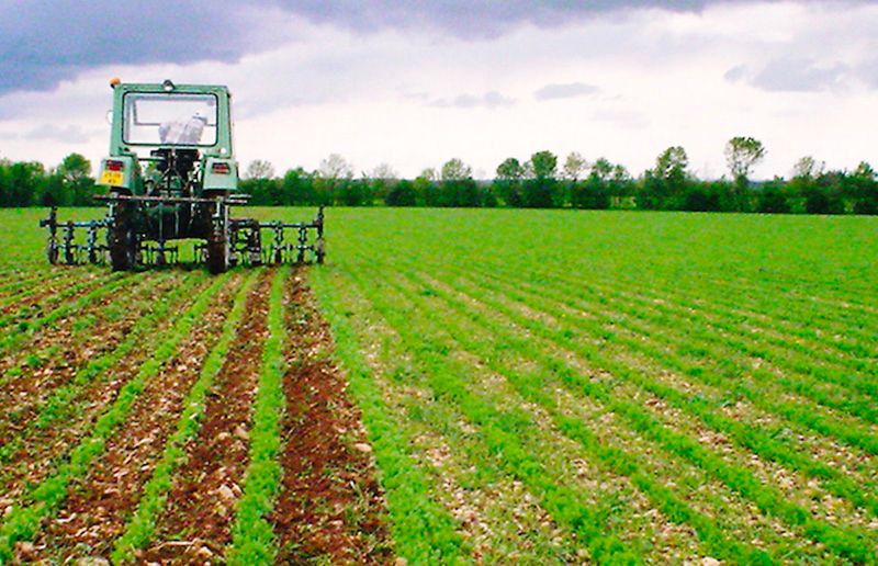 Tracteur qui bine un champ