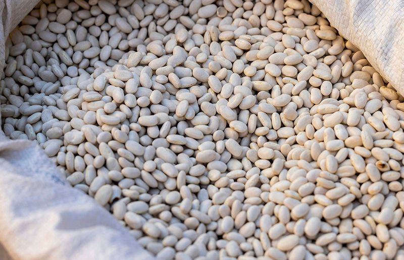 vue aérienne d'un village