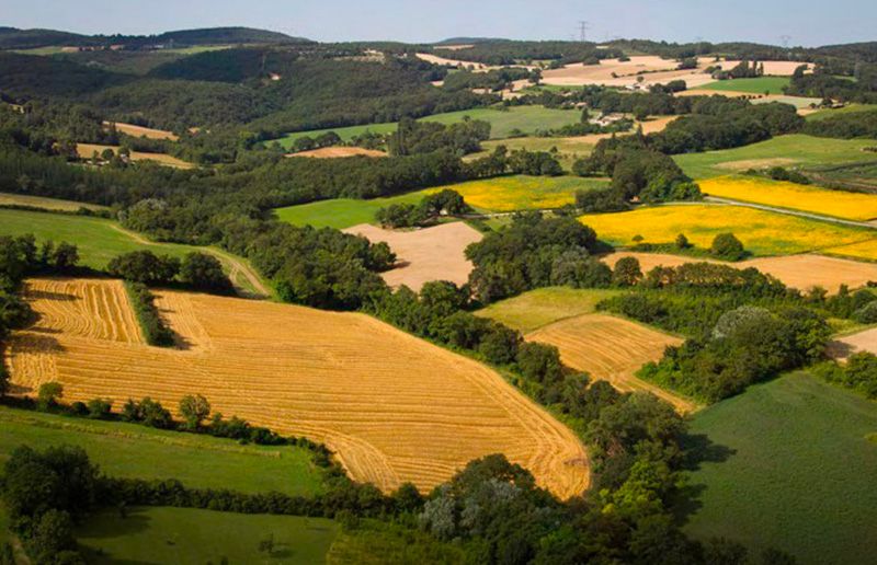 Vue aérienne de champs cultivés