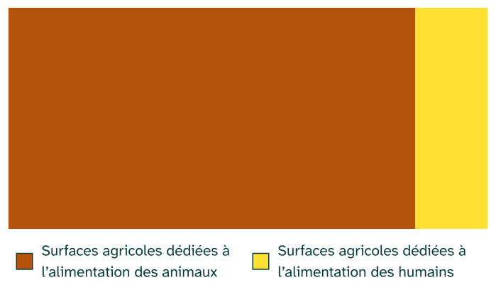 Histogramme : 85 % des surfaces cultivées sont dédiées à l'alimentation des animaux d'élevage