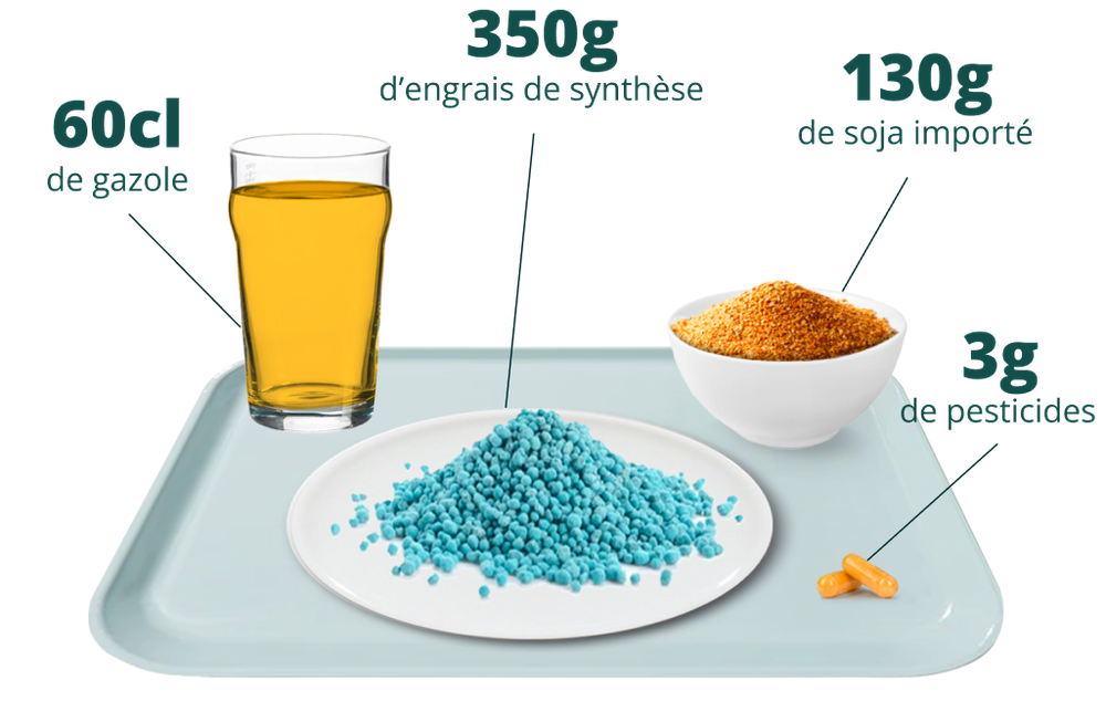 Plateau repas montrant le contenu de nos repas en pétrole, engrais et pesticides