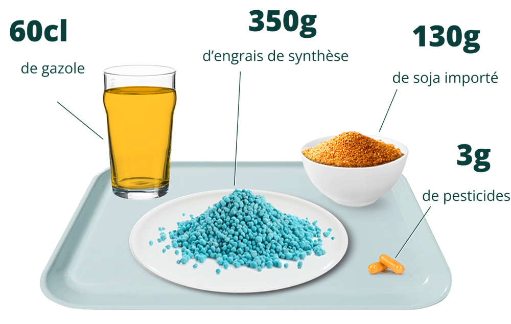 Plateau repas montrant le contenu de nos repas en pétrole, engrais et pesticides