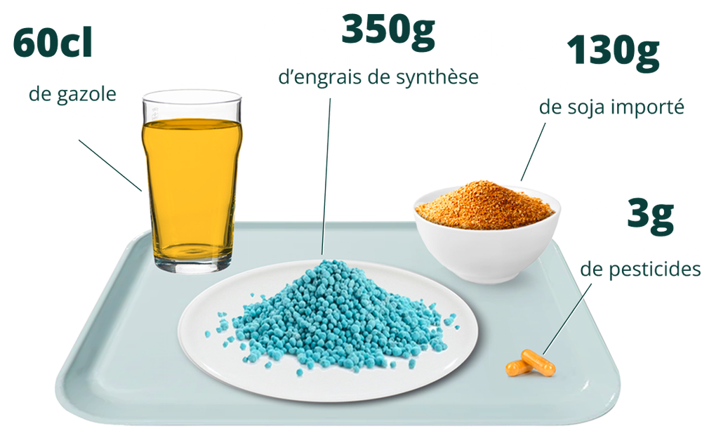 Plateau repas montrant le contenu de nos repas en pétrole, engrais et pesticides