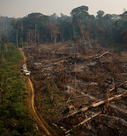 Déforestation en Amérique du Sud