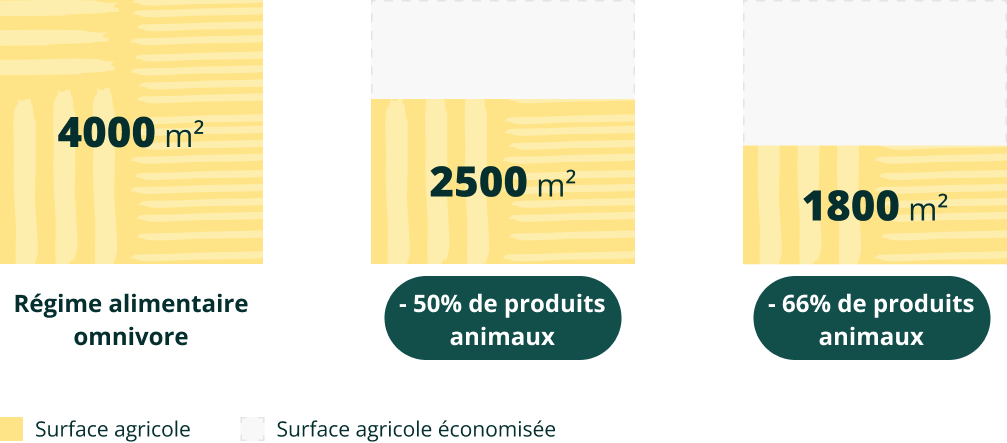 Surface agricole nécessaire pour nourrir une personne