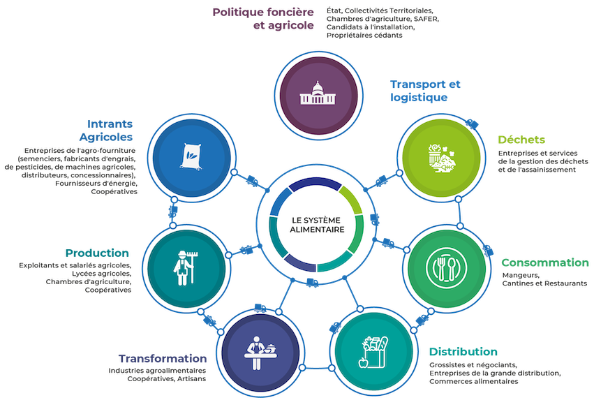 Schéma du système alimentaire