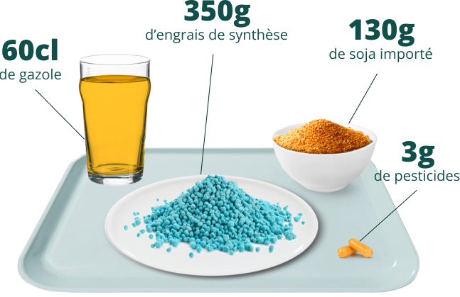 Plateau repas montrant le contenu de nos repas en pétrole, engrais et pesticides