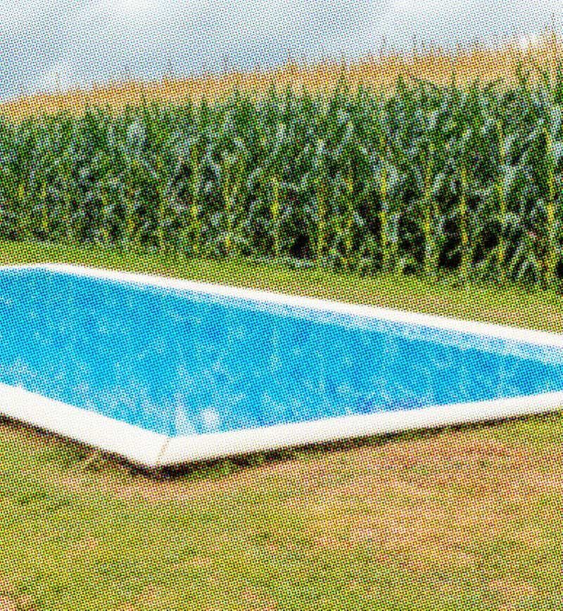 Piscine devant un champ de blé